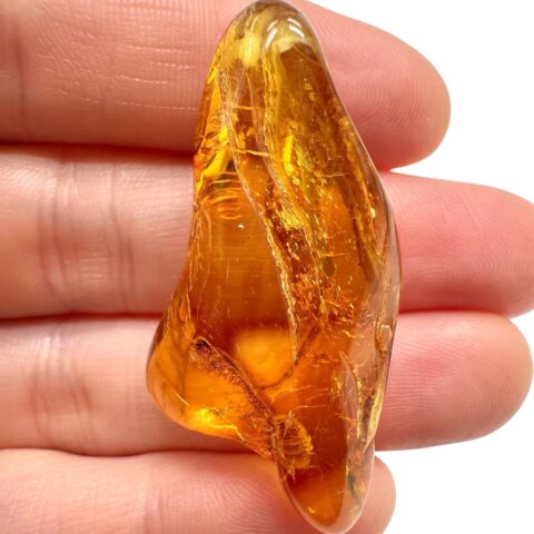 Jantar 3,9g – Litva