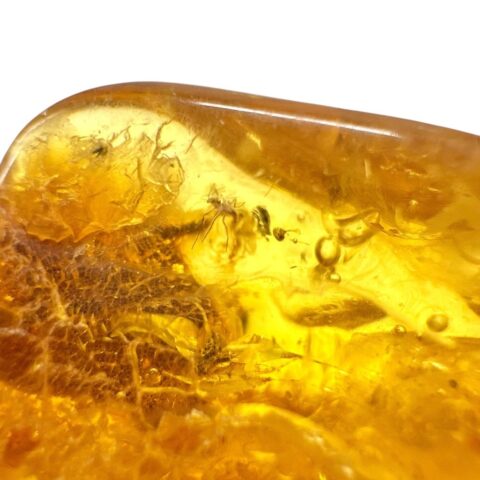Hmyz v jantaru – Litva – 11,7g