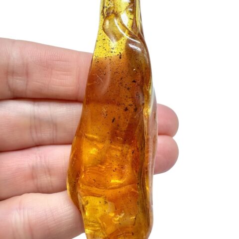 Jantar 15,1g – Litva