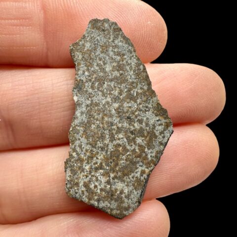 Meteorit Bassikounou 3g – Mauritánie