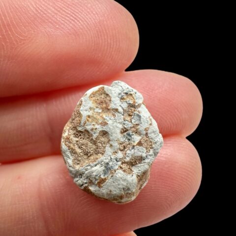 Lunární meteorit Gadamis 004 – 1,2g – Libye