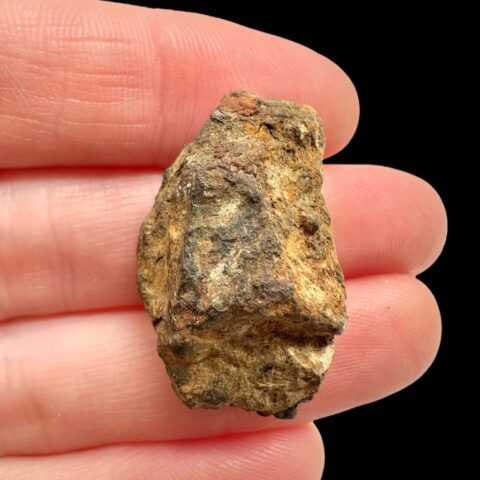 Meteorit Pallasit Sericho 7,9g / surový – Keňa