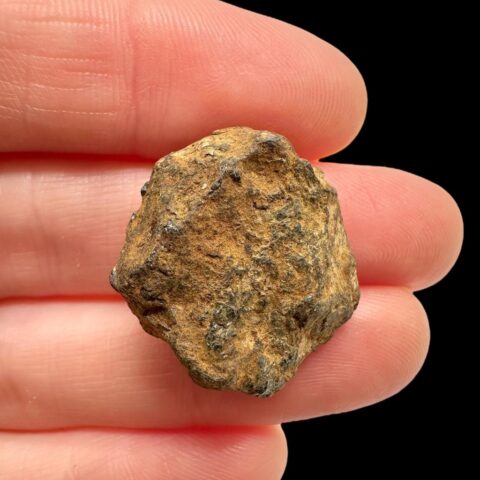 Meteorit Pallasit Sericho 11,6g / surový – Keňa