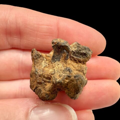 Meteorit Pallasit Sericho 15,9g / surový – Keňa