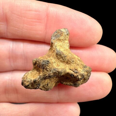Meteorit Pallasit Sericho 10,7g / surový – Keňa
