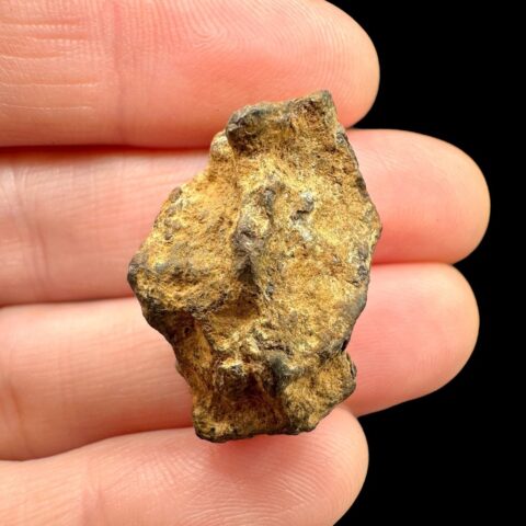 Meteorit Pallasit Sericho 13,1g / surový – Keňa