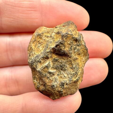 Meteorit Pallasit Sericho 20,1g / surový – Keňa
