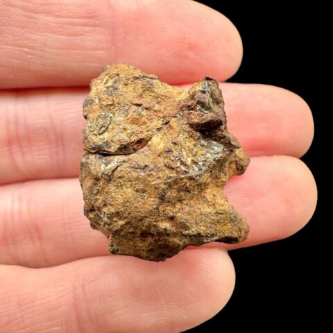 Meteorit Pallasit Sericho 13,2g / surový – Keňa