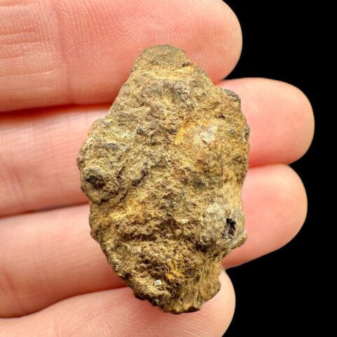 Meteorit Pallasit Sericho 12,2g / surový – Keňa