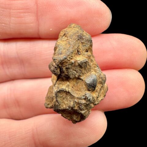Meteorit Pallasit Sericho 10,8g / surový – Keňa