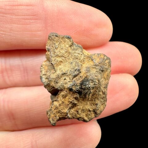 Meteorit Pallasit Sericho 13,1g / surový – Keňa