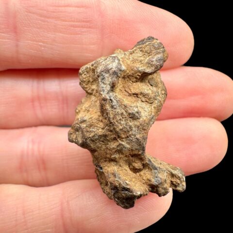 Meteorit Pallasit Sericho 13,8g / surový – Keňa