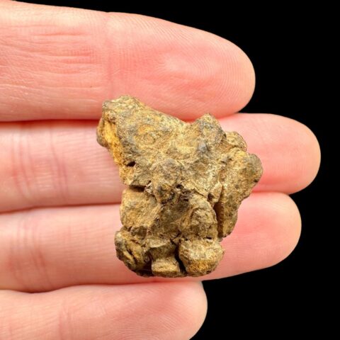 Meteorit Pallasit Sericho 8,4g / surový – Keňa