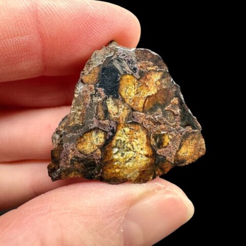 Meteorit Pallasit Sericho 15,3g / koncový řez – Keňa