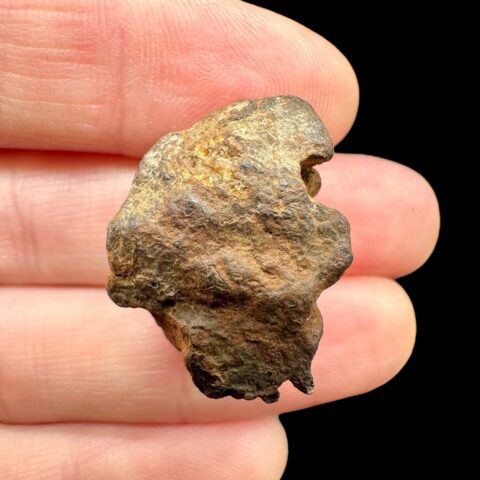 Meteorit Pallasit Sericho 10,9g / surový – Keňa