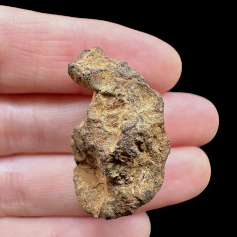 Meteorit Pallasit Sericho 14,8g / surový – Keňa