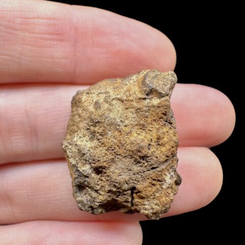 Meteorit Pallasit Sericho 8,1g / surový – Keňa