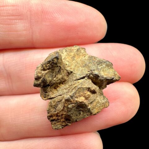 Meteorit Pallasit Sericho 5,8g / surový – Keňa