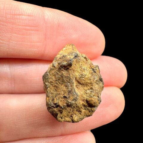 Meteorit Pallasit Sericho 8,7g / surový – Keňa