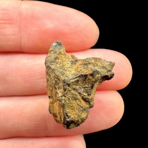 Meteorit Pallasit Sericho 5,7g / surový – Keňa