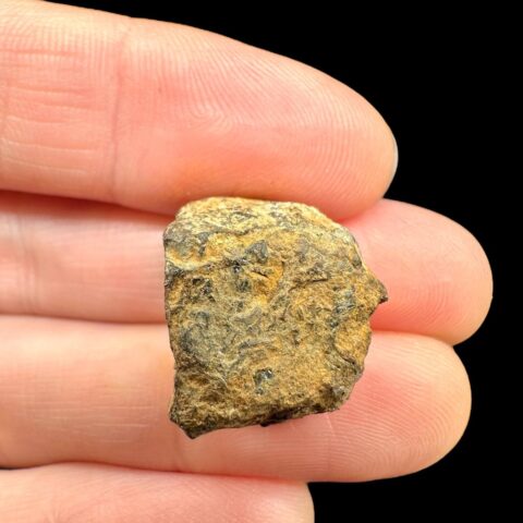 Meteorit Pallasit Sericho 7,1g / surový – Keňa