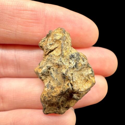 Meteorit Pallasit Sericho 12,4g / surový – Keňa