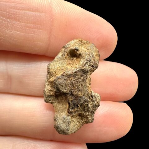 Meteorit Pallasit Sericho 5,8g / surový – Keňa