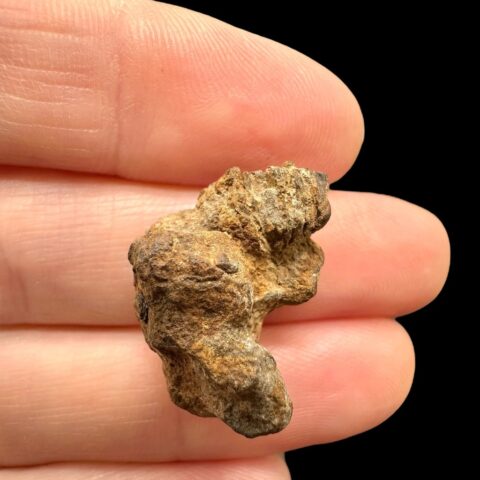 Meteorit Pallasit Sericho 5,9g / surový – Keňa