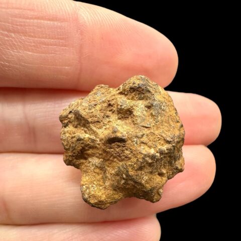 Meteorit Pallasit Sericho 9,6g / surový – Keňa
