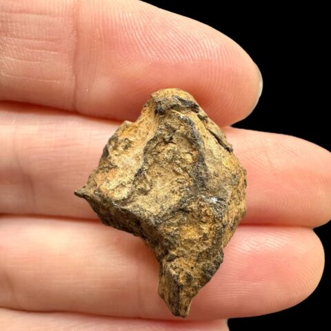 Meteorit Pallasit Sericho 6,9g / surový – Keňa
