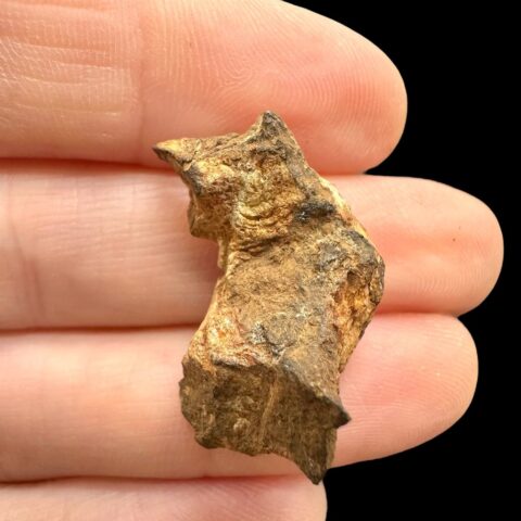 Meteorit Pallasit Sericho 5,7g / surový – Keňa
