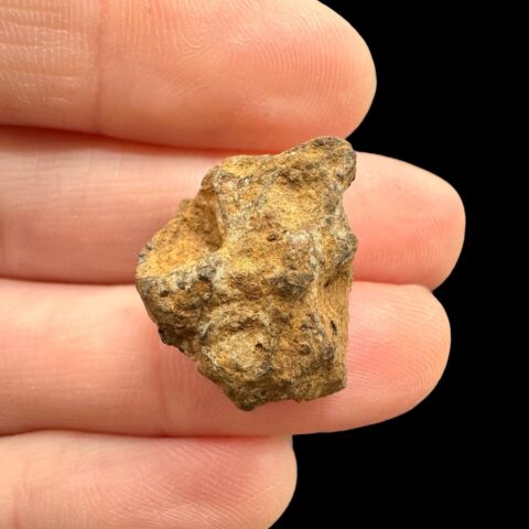 Meteorit Pallasit Sericho 6g / surový – Keňa