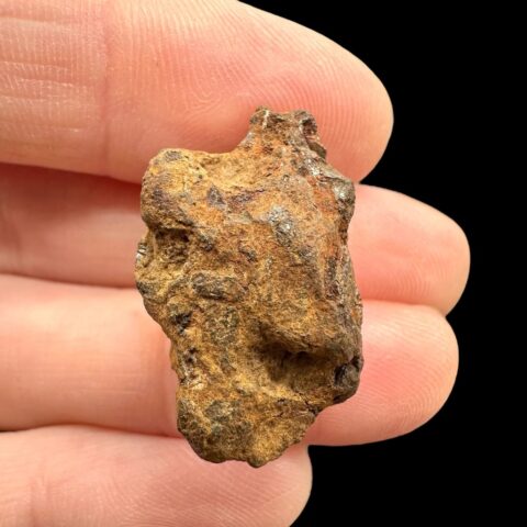 Meteorit Pallasit Sericho 8,7g / surový – Keňa