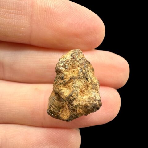 Meteorit Pallasit Sericho 5,1g / surový – Keňa