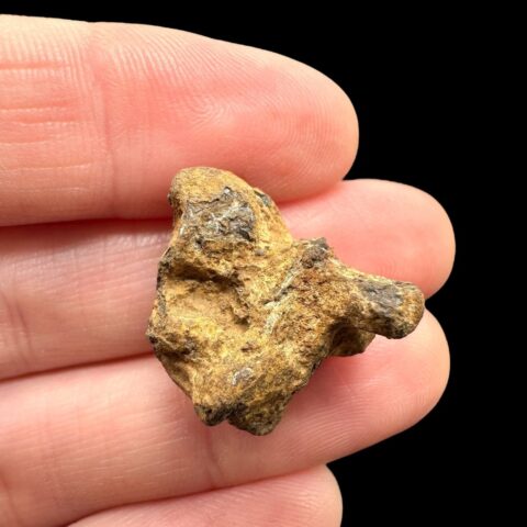 Meteorit Pallasit Sericho 8,6g / surový – Keňa