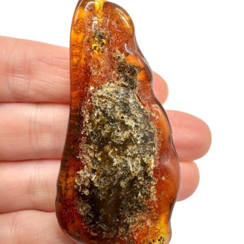 Jantar 11,2g – Litva