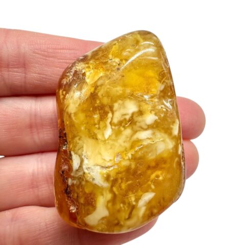 Jantar 13,9g – Litva