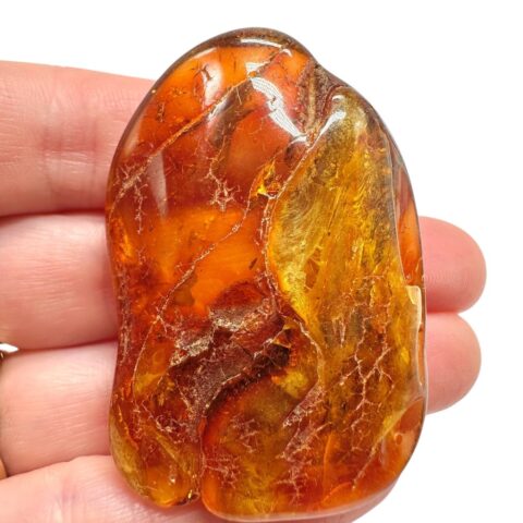 Jantar 13,8g – Litva