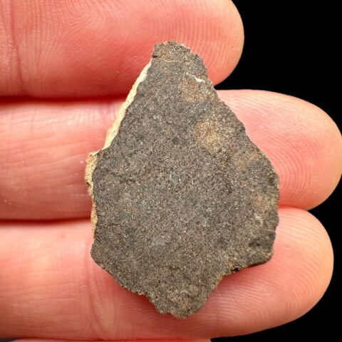 Meteorit Al Haggounia 001 – 2g – Západní Sahara