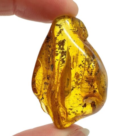 Jantar 7,9g – Litva
