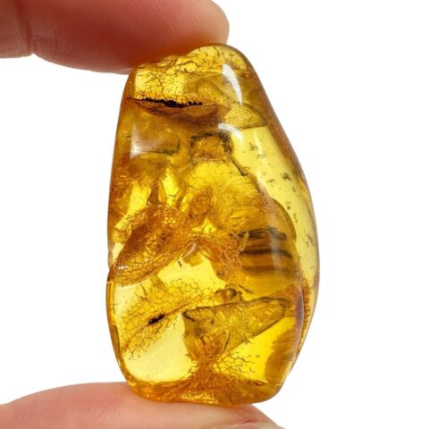Jantar 7,7g – Litva