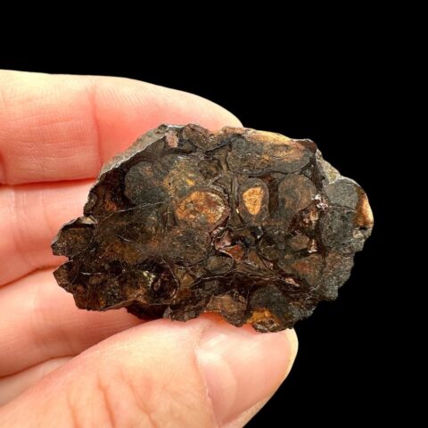 Meteorit Pallasit Sericho 21,9g / koncový řez – Keňa
