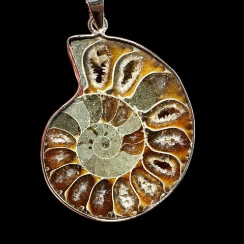 Přívěsek z amonita 3,7cm – Madagaskar