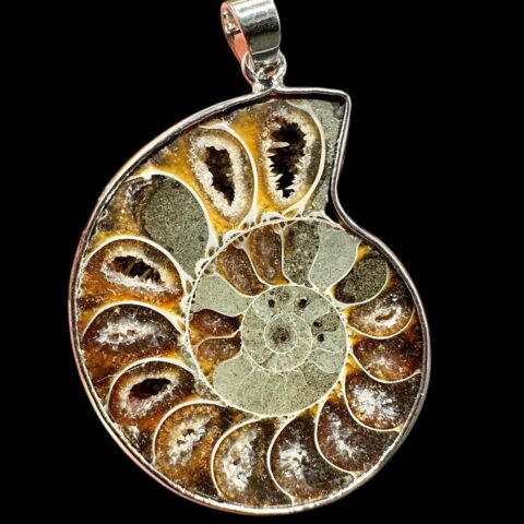 Přívěsek z amonita 3,7cm – Madagaskar