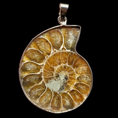 Přívěsek z amonita 3,7cm – Madagaskar