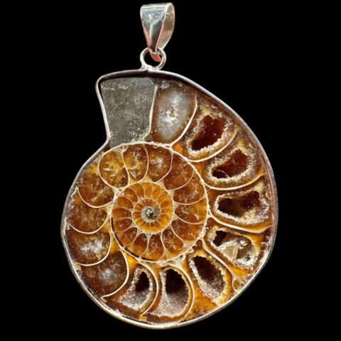 Přívěsek z amonita 4cm – Madagaskar