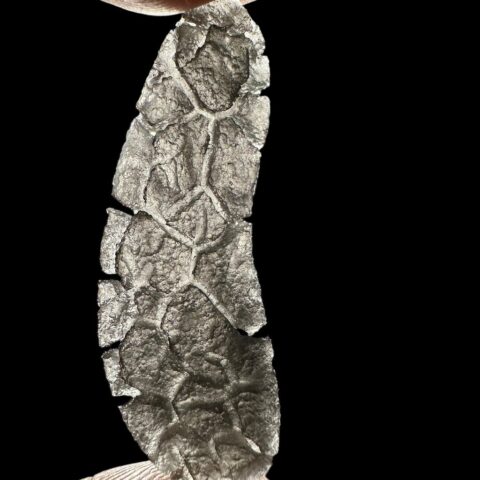 Slovenský obsidián – ježek – 2,7g / zvonivý