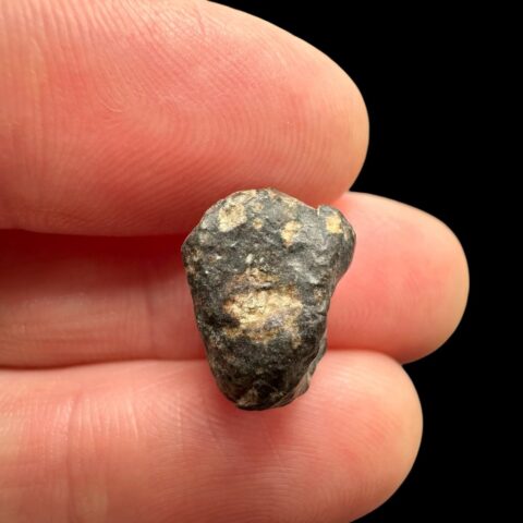 Meteorit NWA 869 – 1,7g – Severozápadní Afrika