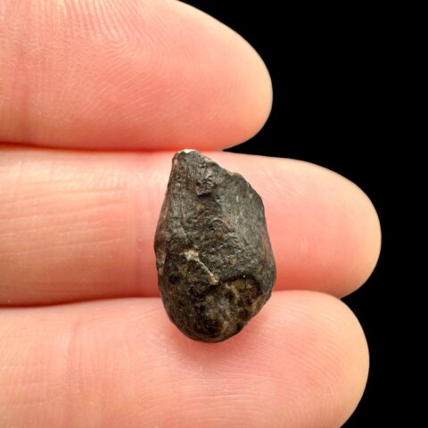 Meteorit NWA 869 – 1,7g – Severozápadní Afrika