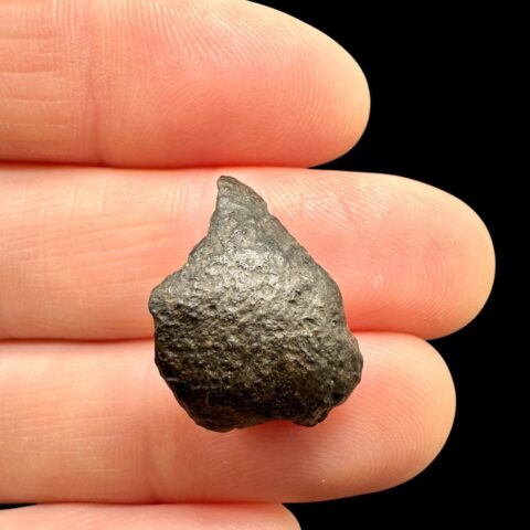Meteorit NWA 869 – 2g – Severozápadní Afrika